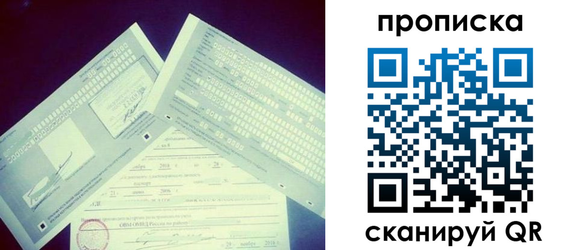 временная регистрация поиск в Полярном